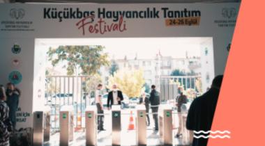 Festival, Fuar Hizmeti