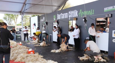 Stant İçi Etkinlikler